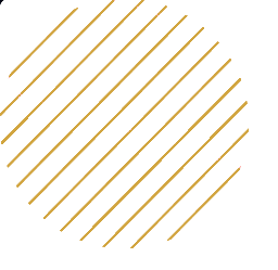 circulolistradodourado